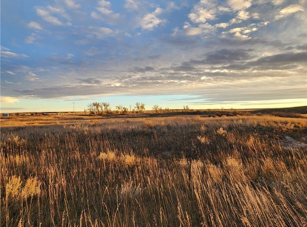 Nickwall Rd, MT 59274