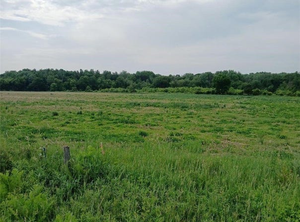 Lot 1 Witte Road, Augusta, WI 54722
