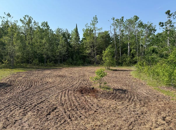 Emerald Lake Trail, Gaylord, MI 49735