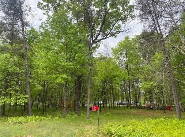 821 Rye Court, Nekoosa, WI 54457
