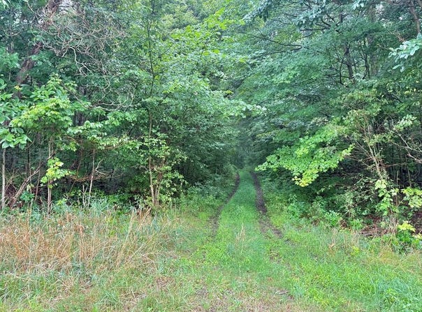 Deckards Run Rd, Utica, PA 16362