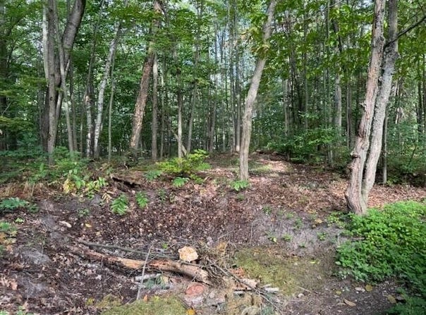 #3 S Perch Lake Drive, Gaylord, MI 49735