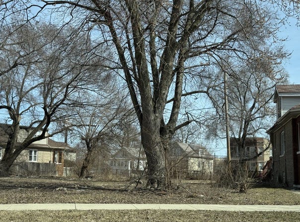 9969 S Winston Avenue, Chicago, IL 60643
