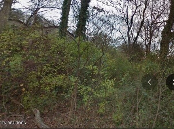 0 Waverly St, Knoxville, TN 37921