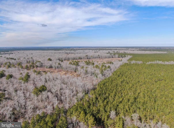 0 FOLLOW DITCH ROAD, PRINCESS ANNE, MD 21853