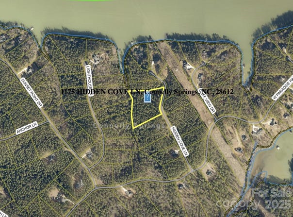 1175 Hidden Cove Lane, Connelly Springs, NC 28612