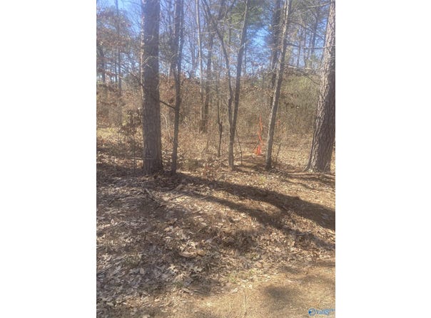 Lot 3 County Road 642, Cedar Bluff, AL 35959