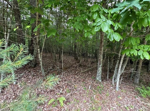Live Oak Ln, Galax, VA 24333
