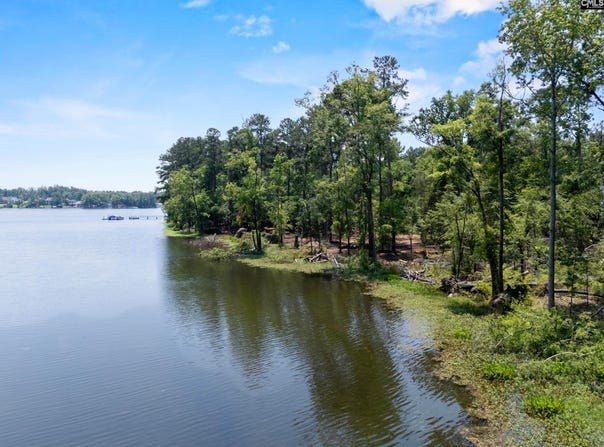 725 Clipper Trail, Chapin, SC 29036