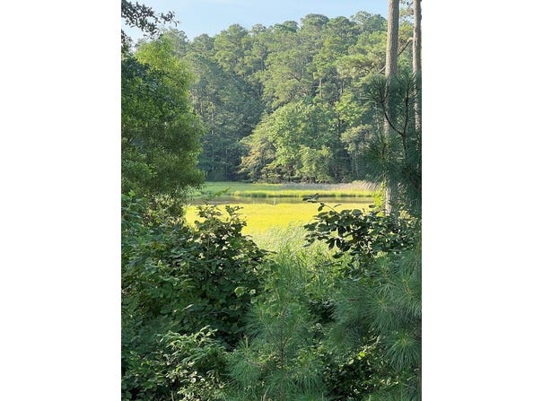 Lot 75 OLDE MILL LANE, NEW CHURCH, VA 23415