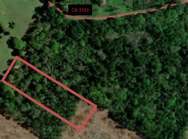 3.50 AC County Road 3103, Call, TX 75933