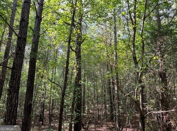 Lipham Road, Franklin, GA 30217