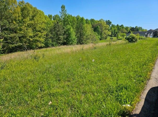 0 County Road 327 Lot 8, Niota, TN 37826