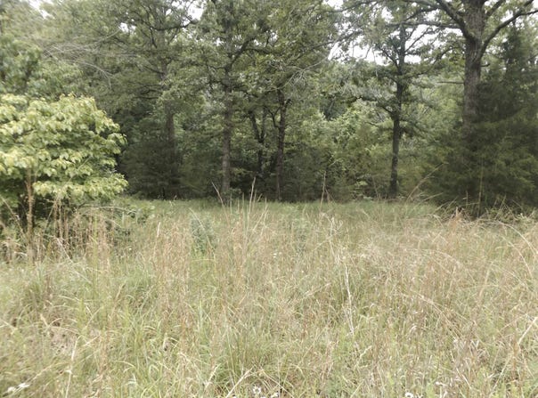 Tracts 1,2,3,4 Sherwood Hills Drive, Mountain Home, AR 72653