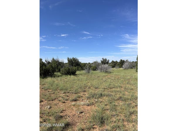 Mills Ln lot: 1933, Concho, AZ 85924