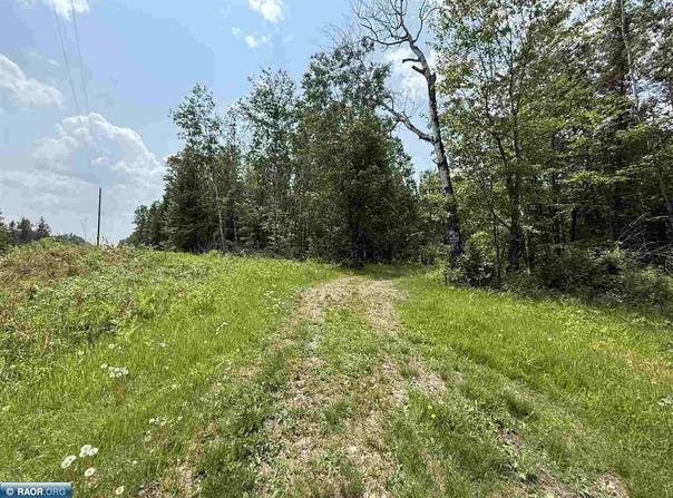 TBD Samuelson Road-Sec22, Angora, MN 55703