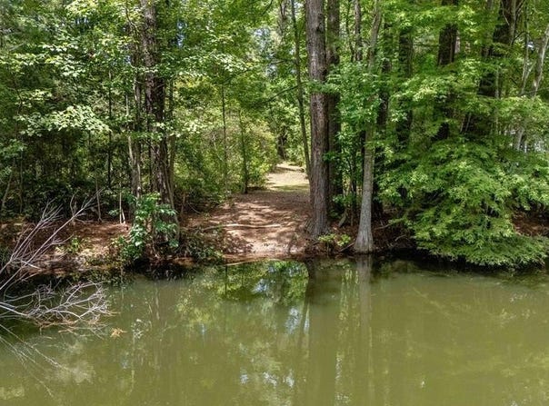 Tbd Rutledge Drive, Eutawville, SC 29048