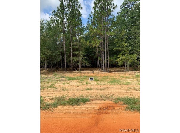 Deer Loop lot: 12, Camden, AL 36726