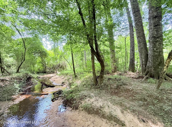 Summit Drive, Summit, MS 39666
