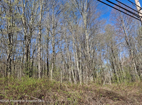 Lot7 DAMIANO Drive, Covington Twp, PA 18424