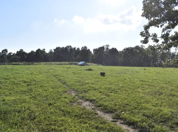 20298 Highway VV, Licking, MO 65542