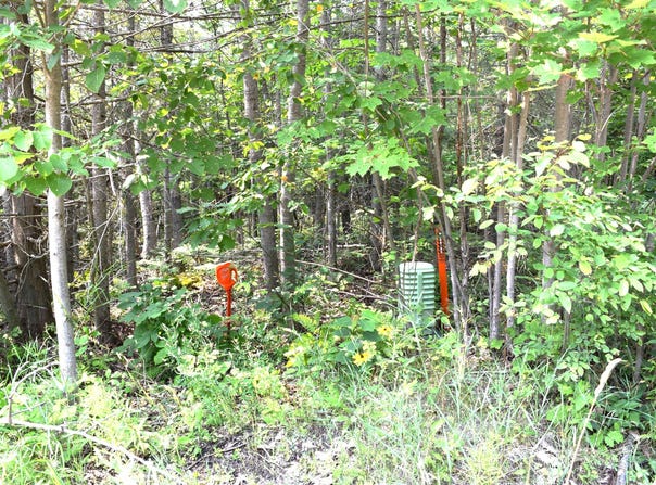1797 Derby Road, Indian River, MI 49749