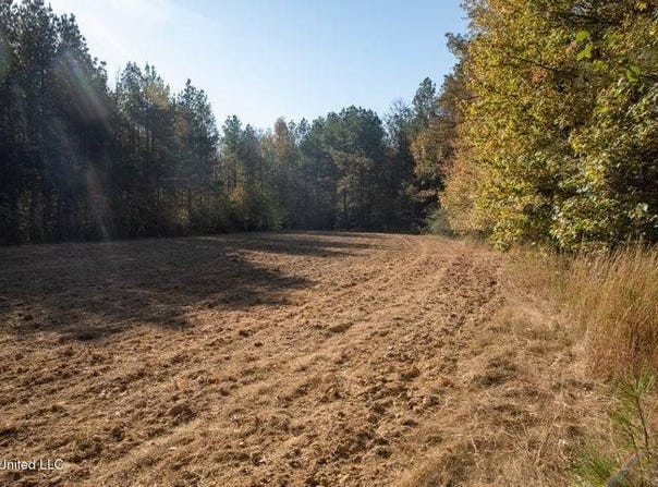 0 Vaughn Road, Vaughn, MS 39179