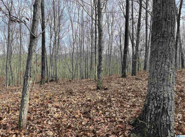 COUNTY ROAD 852, HEFLIN, AL 36264