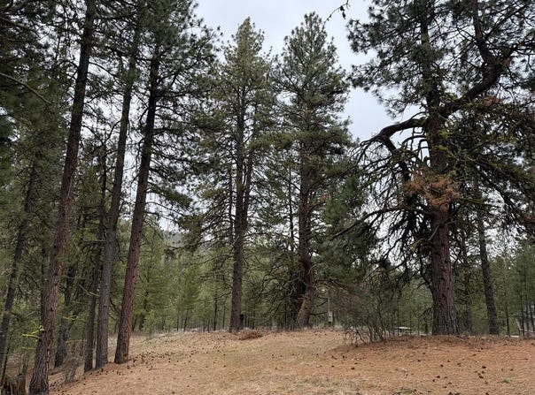 Sunset Loop lot: 16, Cascade, ID 83611