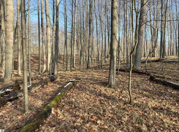 9357 W Circle Drive, Stanwood, MI 49346