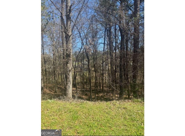 3740 Mountain Cove Road, Snellville, GA 30039