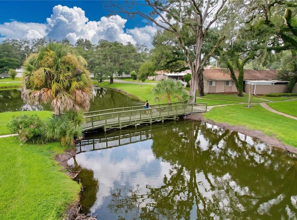 7907 SABAL Drive, TEMPLE TERRACE, FL 33637