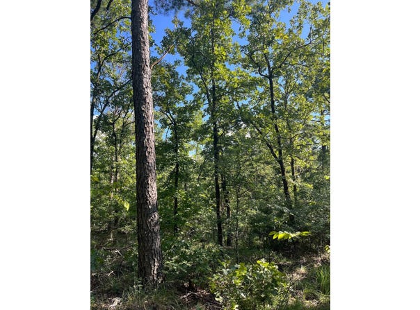 Tract 5 SE 1083  Road Ave, Red Oak, OK 74563