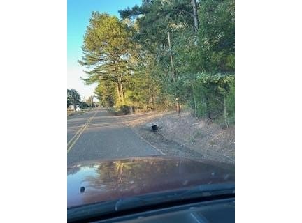 Tract 1 CR 369 and Hwy 9W, OXFORD, MS 38655