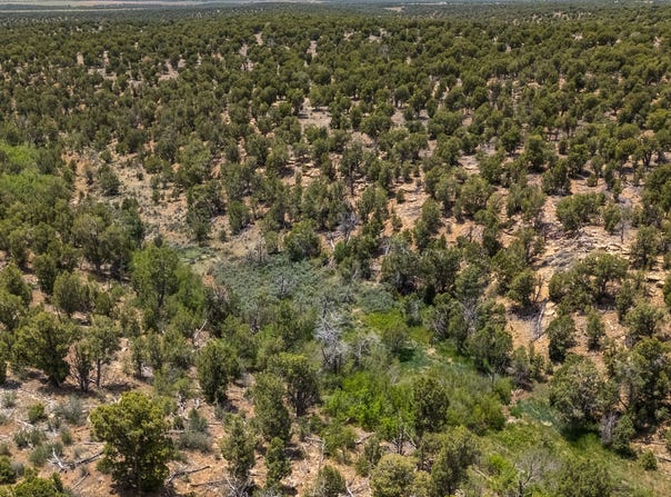 000 TBD CR 116, Hesperus, CO 81326