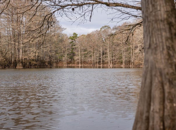 0 Hwy 98, Mclain, MS 39456
