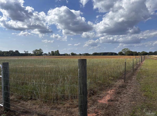 3857 N Simmons Rd, Jay, FL 32565