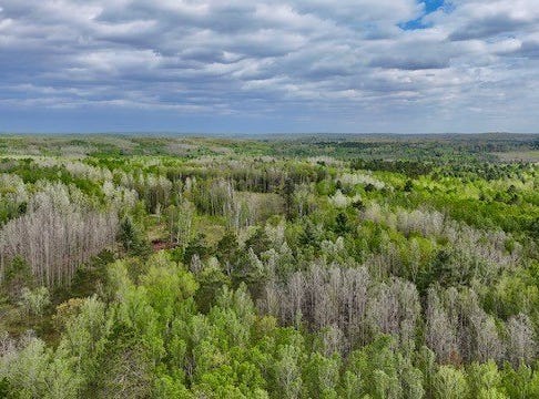 0 Larsen Road, Hayward, WI 54843