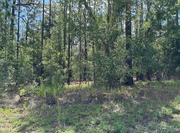 7861 N Valhalla Drive, Citrus Springs, FL 34434