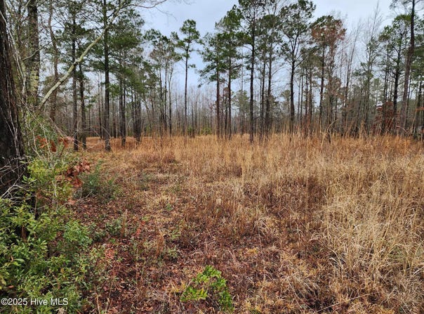 8055 N Us 17 Hwy, Vanceboro, NC 28586