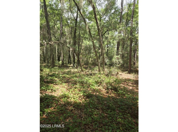 Tbd Mclane Street, St. Helena Island, SC 29920