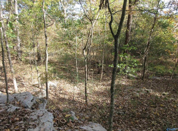 27 Alabama Avenue, Scottsboro, AL 35768
