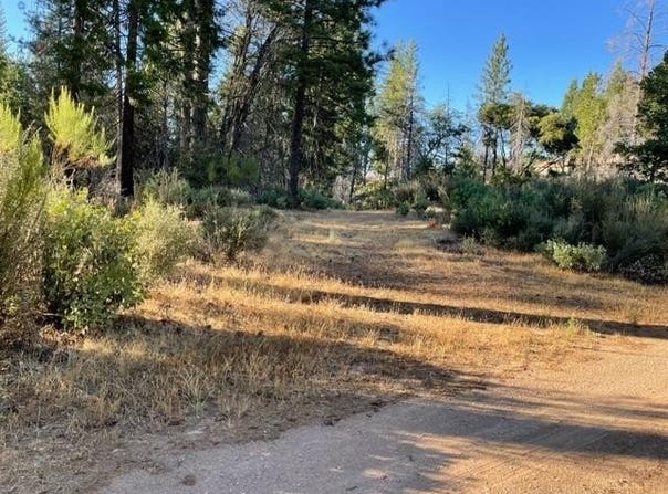 18371 Pine Tree Way, Mountain Ranch, CA 95246
