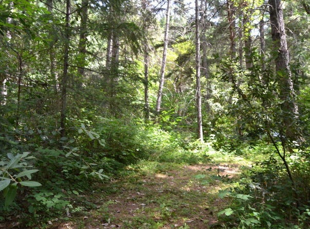 4657 Lower Grave Creek Road, Wolf Creek, OR 97497