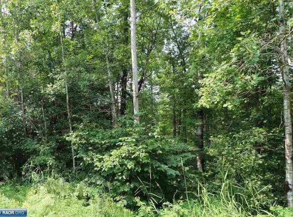 xxxx Deer Forest Rd, Aurora, MN 55705