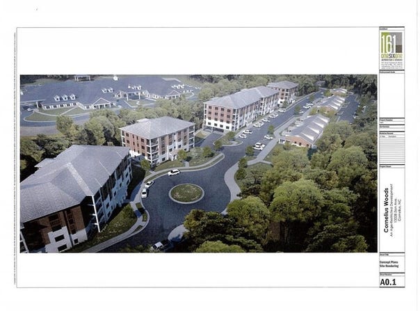 21024 Cornelia Grove Way unit: 203, Cornelius, NC 28031