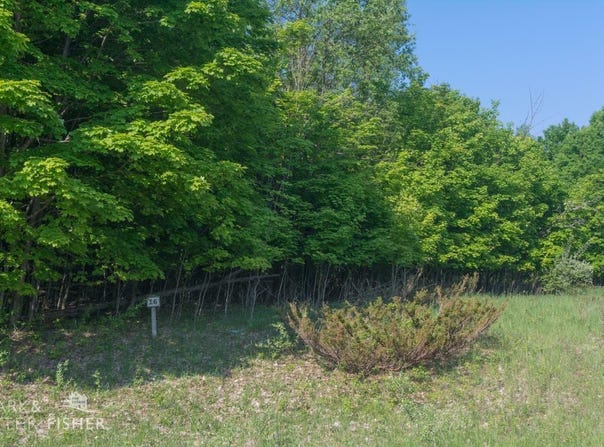 16 W HARBOUR RIDGE, MAPLE CITY, MI 49664
