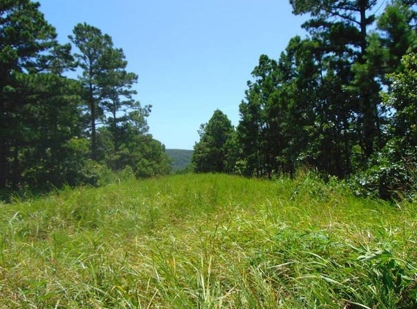 tbd Peach Creek Road, Fan, OK 74935