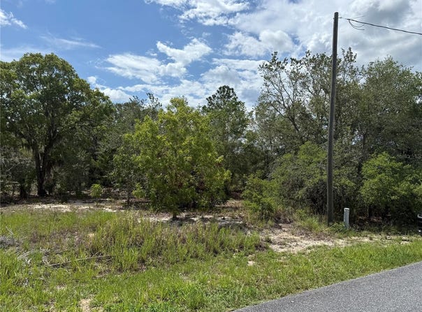 Tbd LOCUST LANE PASS, OCALA, FL 34472