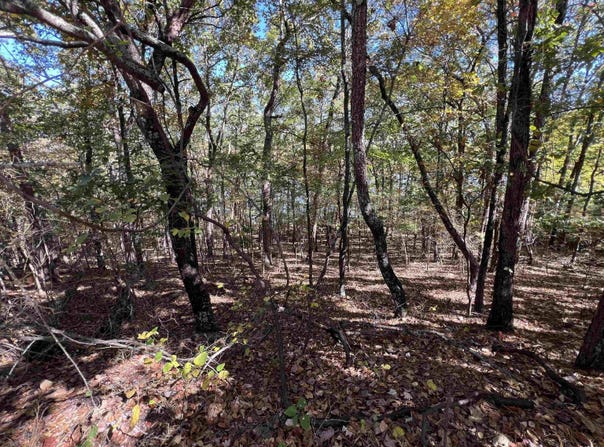 Angel Way, Clinton, AR 72031